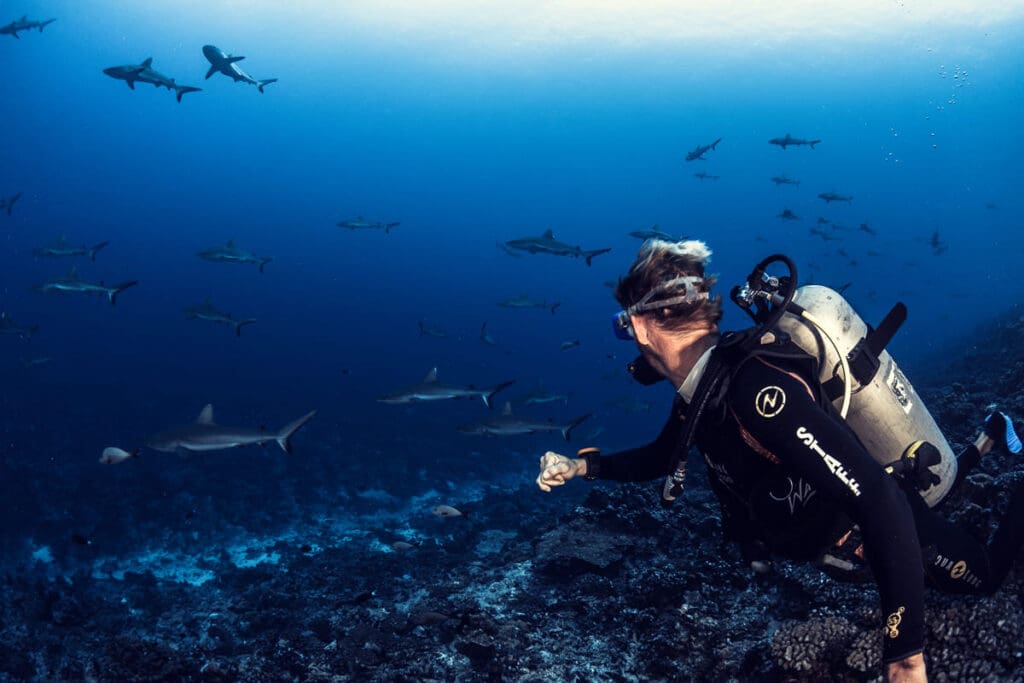 Buceo en Rangiroa