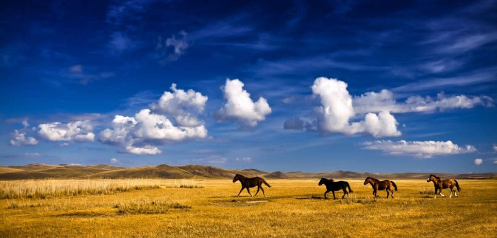 Mongolia a Caballo