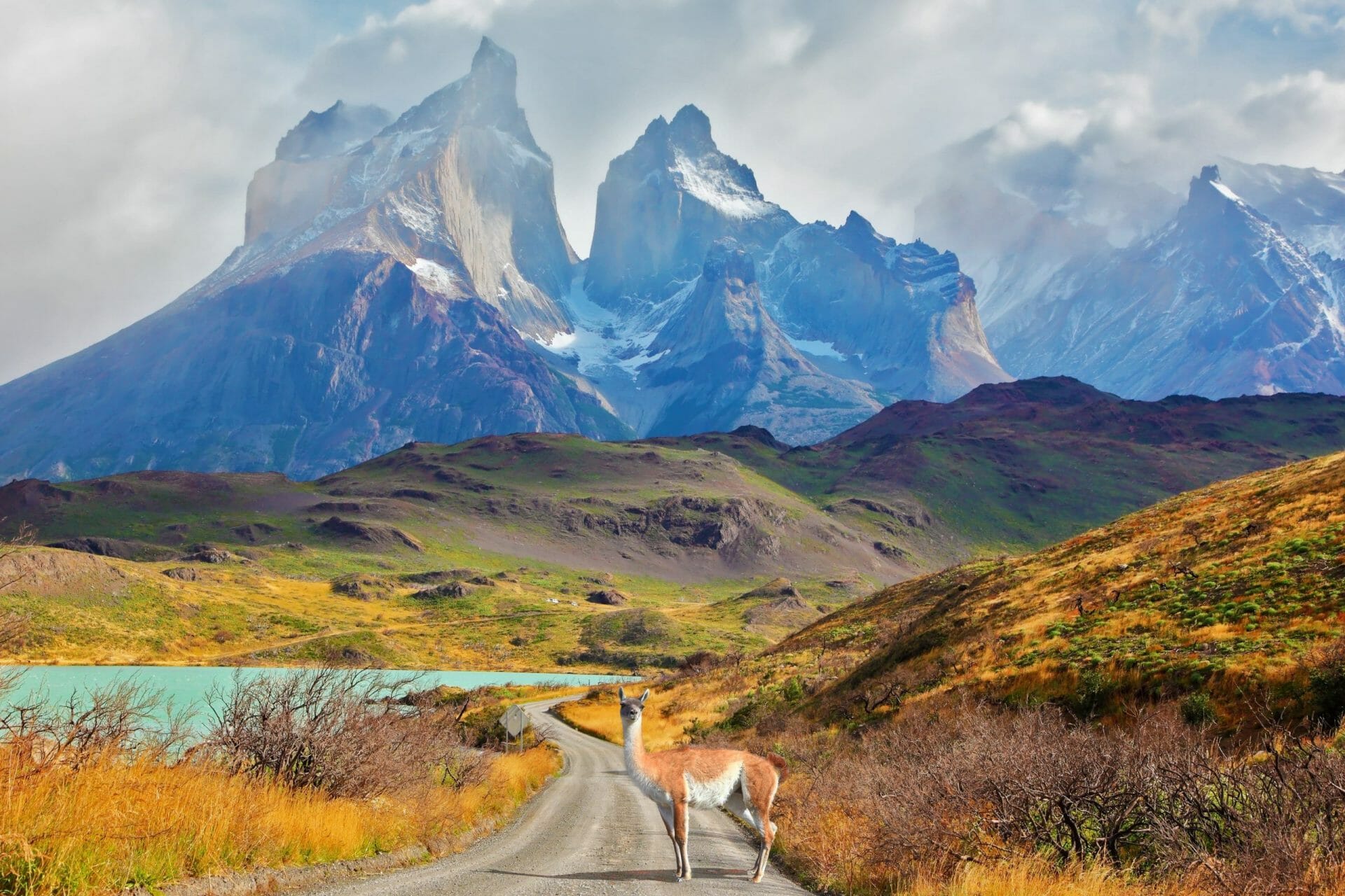 Imponentes picos de Los Cuernos sobre el Lago Pehoe. En un camino de tierra se puede apreciar un guanaco - Lama. Parque Nacional Torres del Paine, Patagonia, Chile