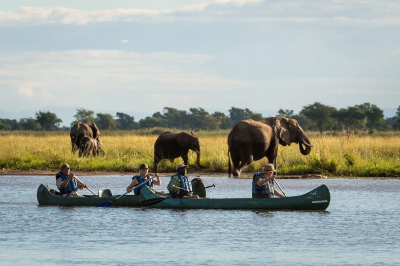 Zimbabwe aventurero