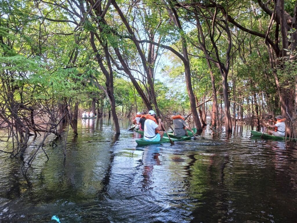 Aguas de los Ríos Negro y Solimões