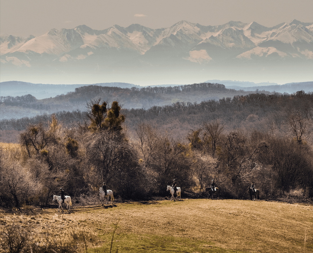 Bethlen Estates Transilvania paseo a caballo