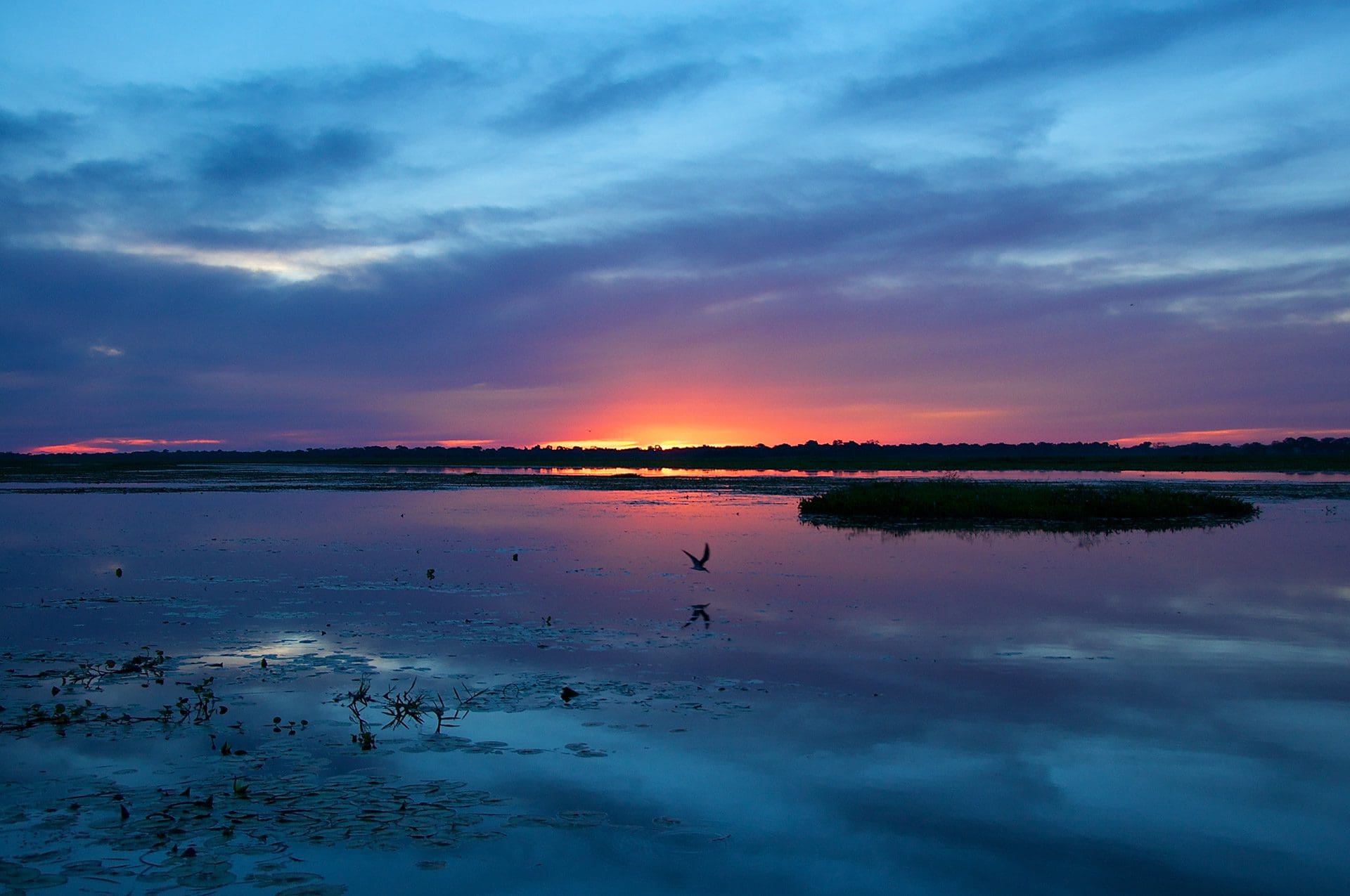 Atardecer en Pantanal Brasil