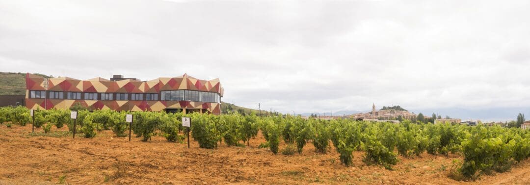 Panorámica de las bodegas FYA