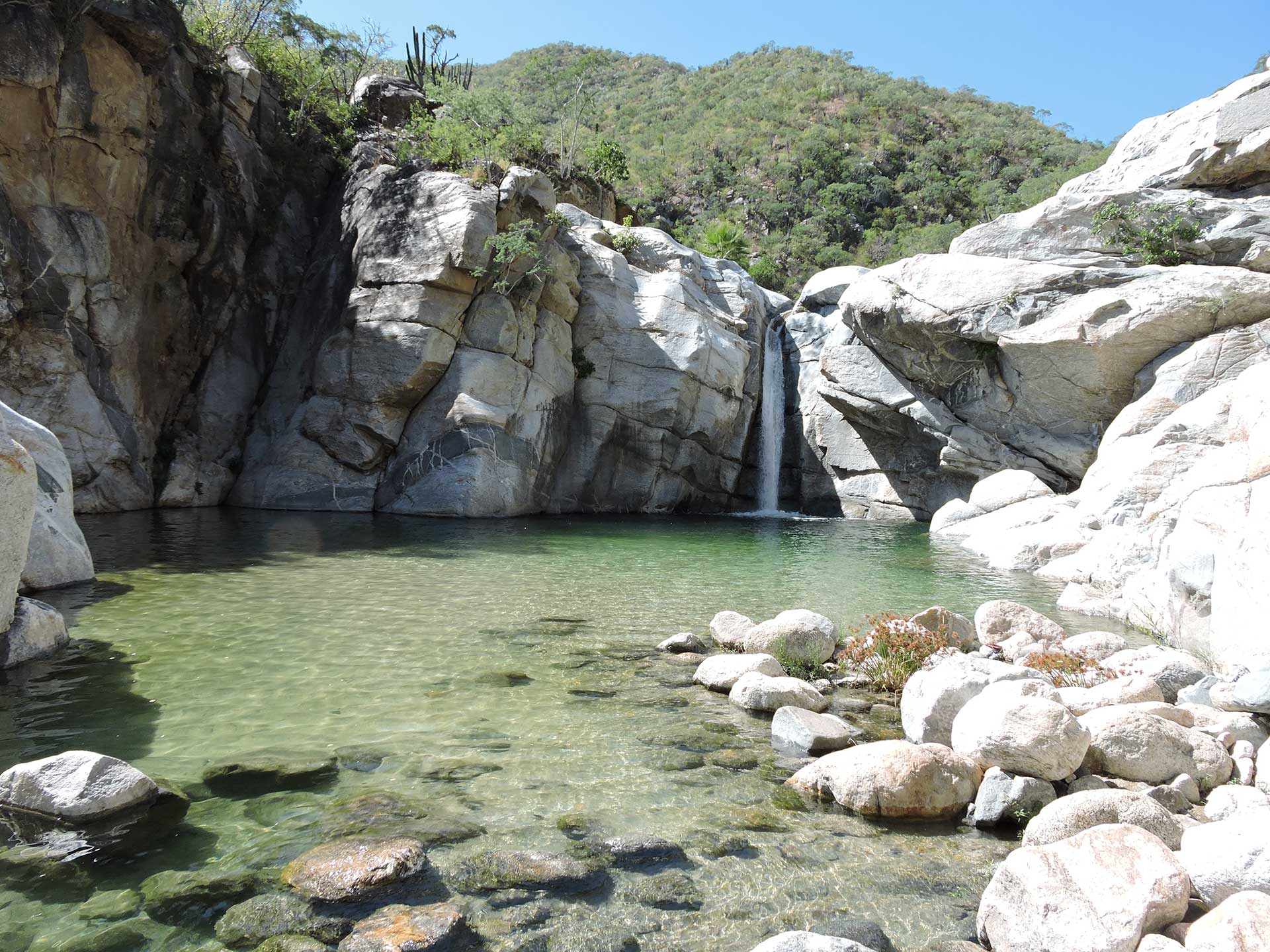 Sierra de la Laguna México