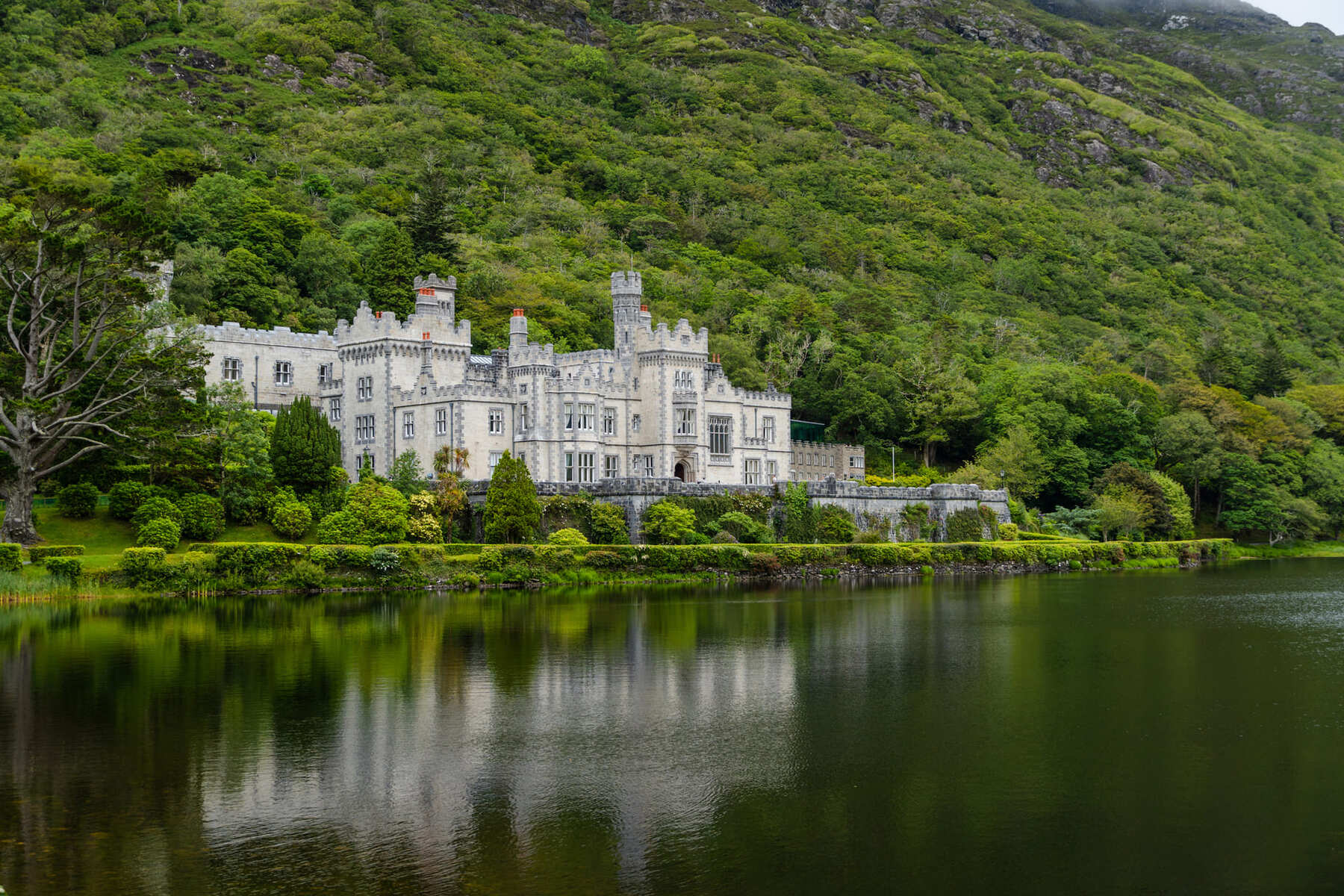 castillo junto a un lago rodeado por bosque