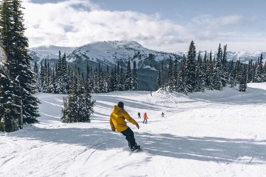 Personas esquiando y haciendo snowboard en la nieve entre árboles nevados