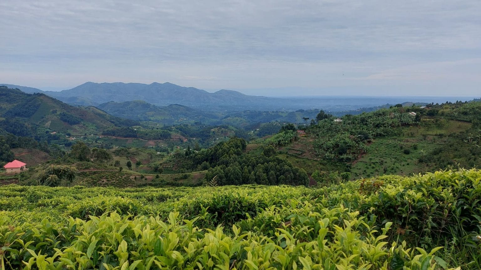 Vista panorámica de Fort Portal