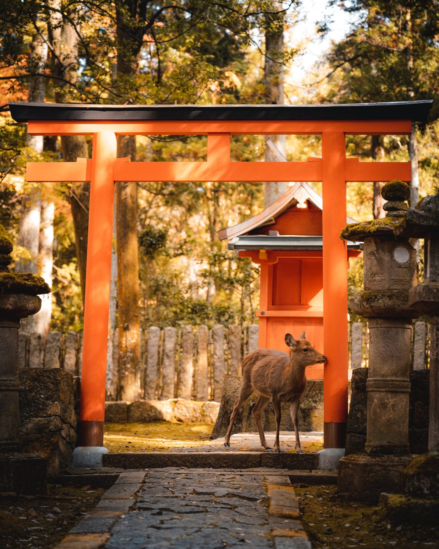 Nara Japon Templos