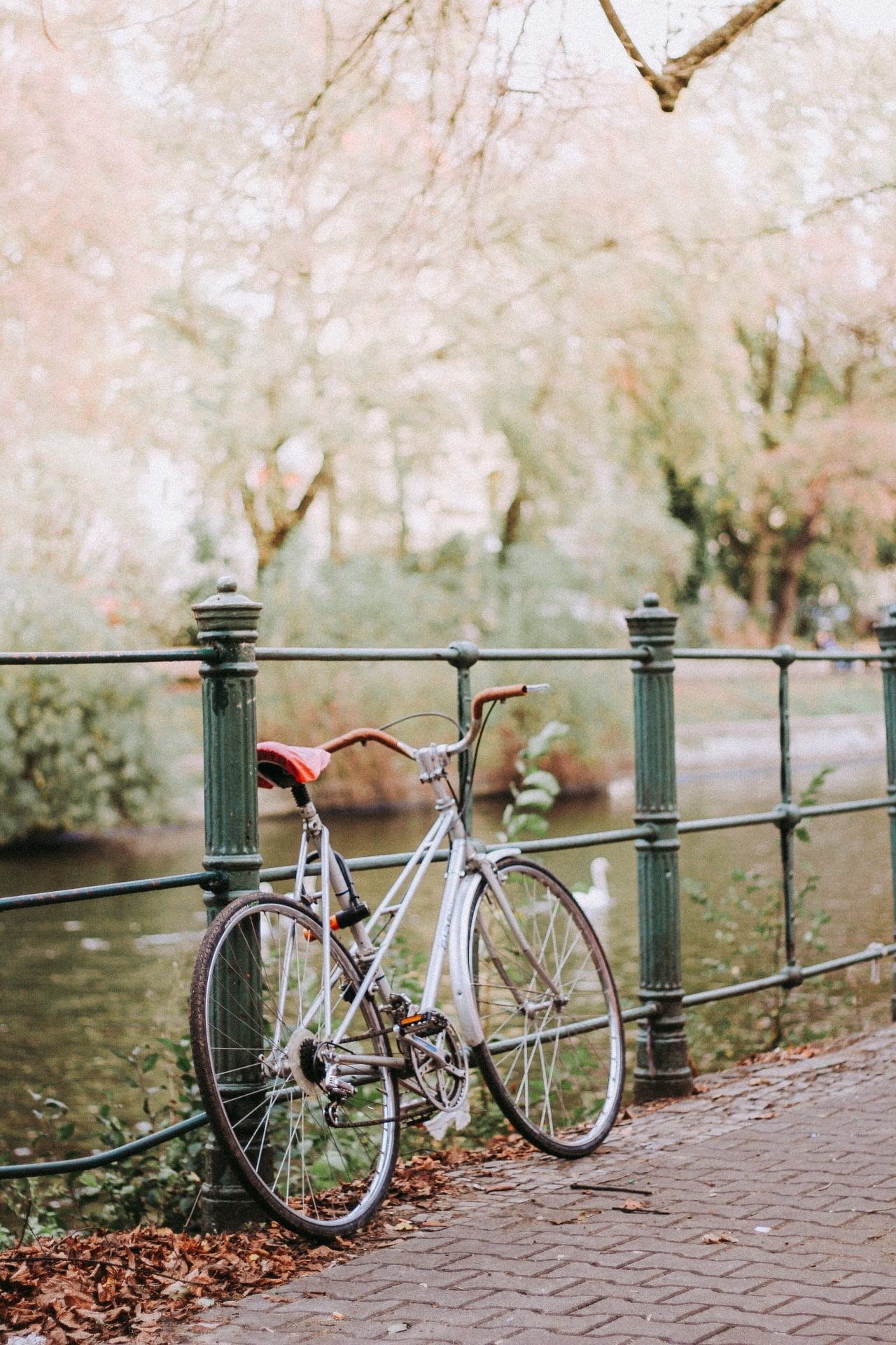 Paseo en Bicicleta Japon