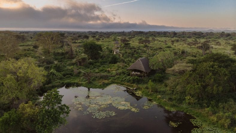 Camp Finch Hattons en Kenia parque