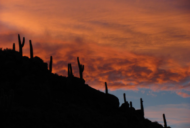 Amanecer en el salar