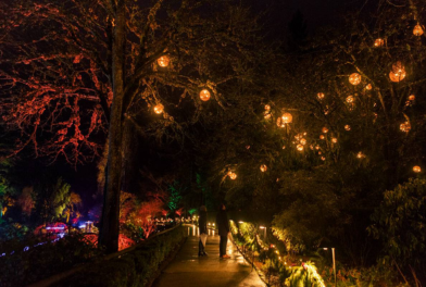 British Columbia- Festive Season