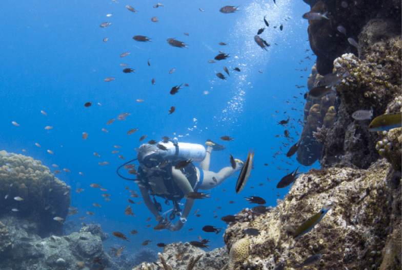 Buceo en Sulawesi Indonesia