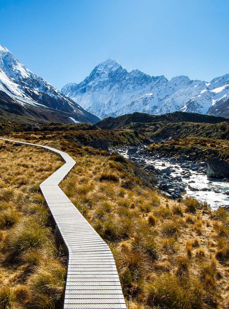 Camino Nueva Zelanda