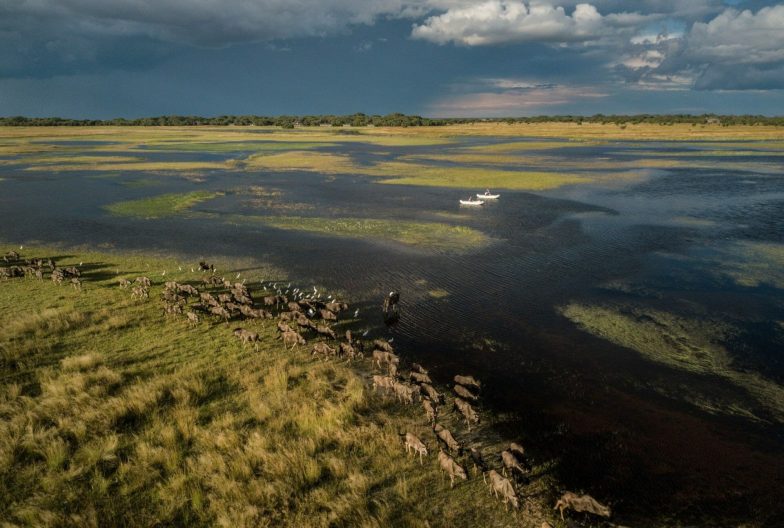 Liuwa migracion Time and Tide Zambia