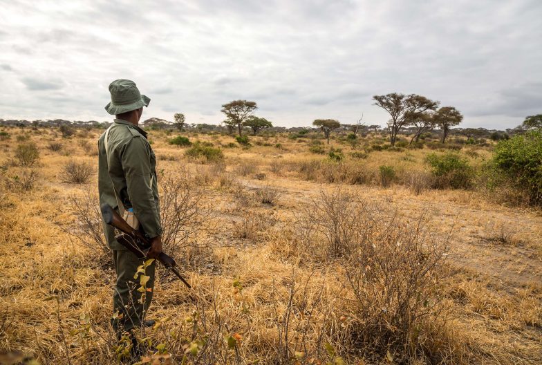 Ranger Ngorongoro