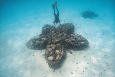 Restauracion de arrecifes de coral