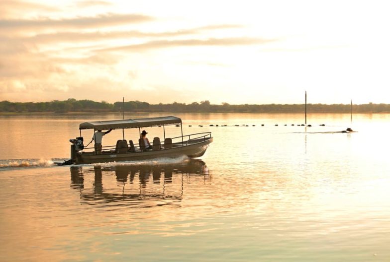 Safari-en-barco-Tanzania