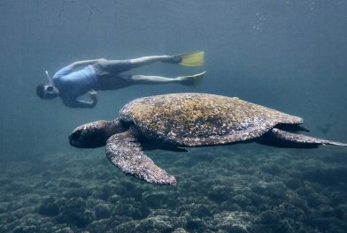 Snorkel-y-herencia-ancestral-en-Isla-del-Cano-Costa-Rica-