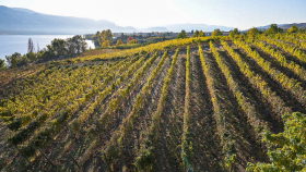 Tamaño de Fotos newsletters - 2025-09-25T094314.236