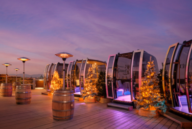 Viena-Winter Terrace en The Ritz-Carlton-Festive Season