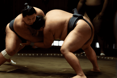 Visita privada Sumo Japoon