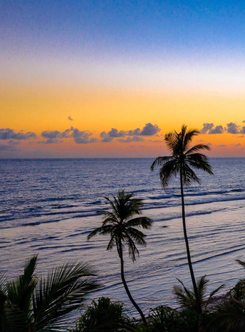 pexels-asad-photo-maldives-small