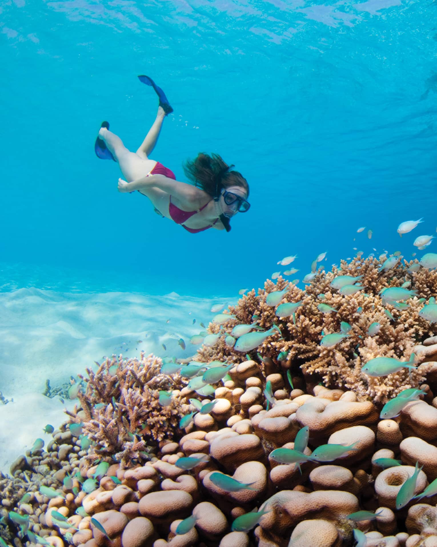 Bora Bora Snorkel