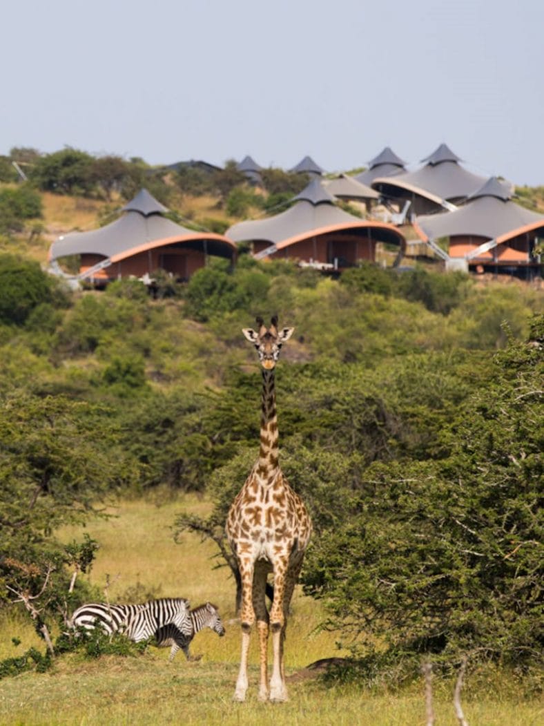 safari kenia lujo