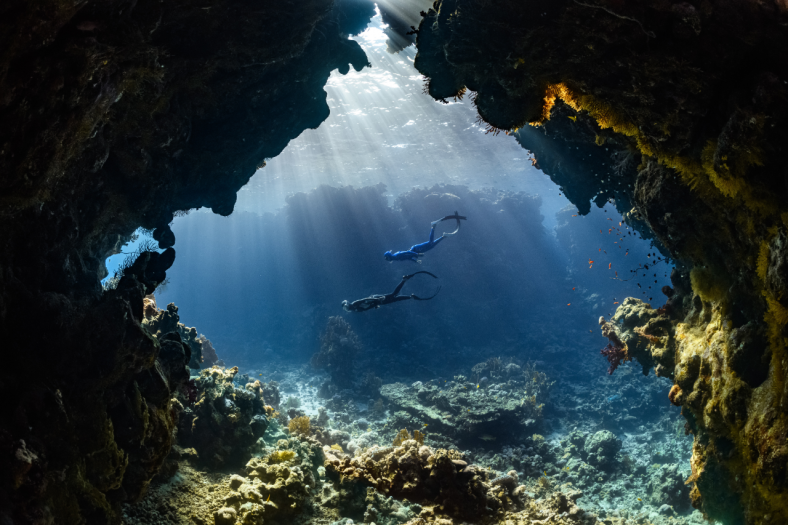 Buceo en Mar Rojo Saudi Arabia Saudita