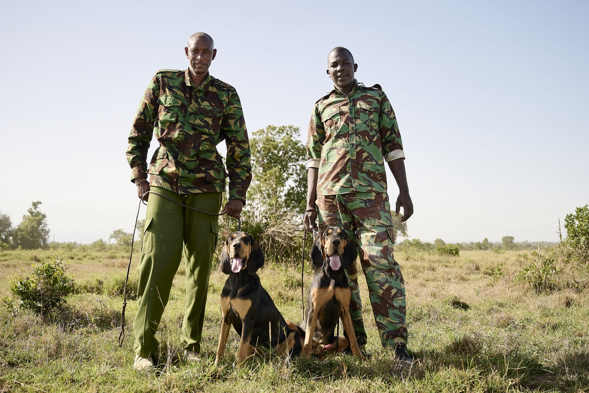 Rangers en Kenia