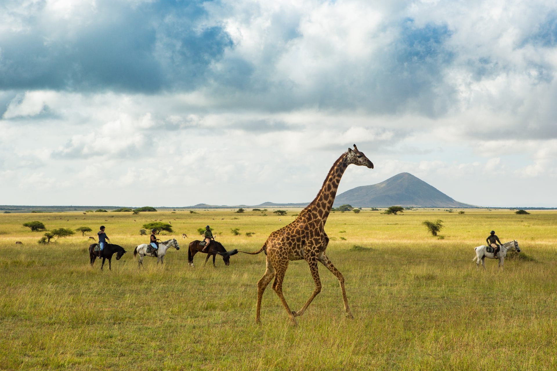 Safari a Caballo Kenia