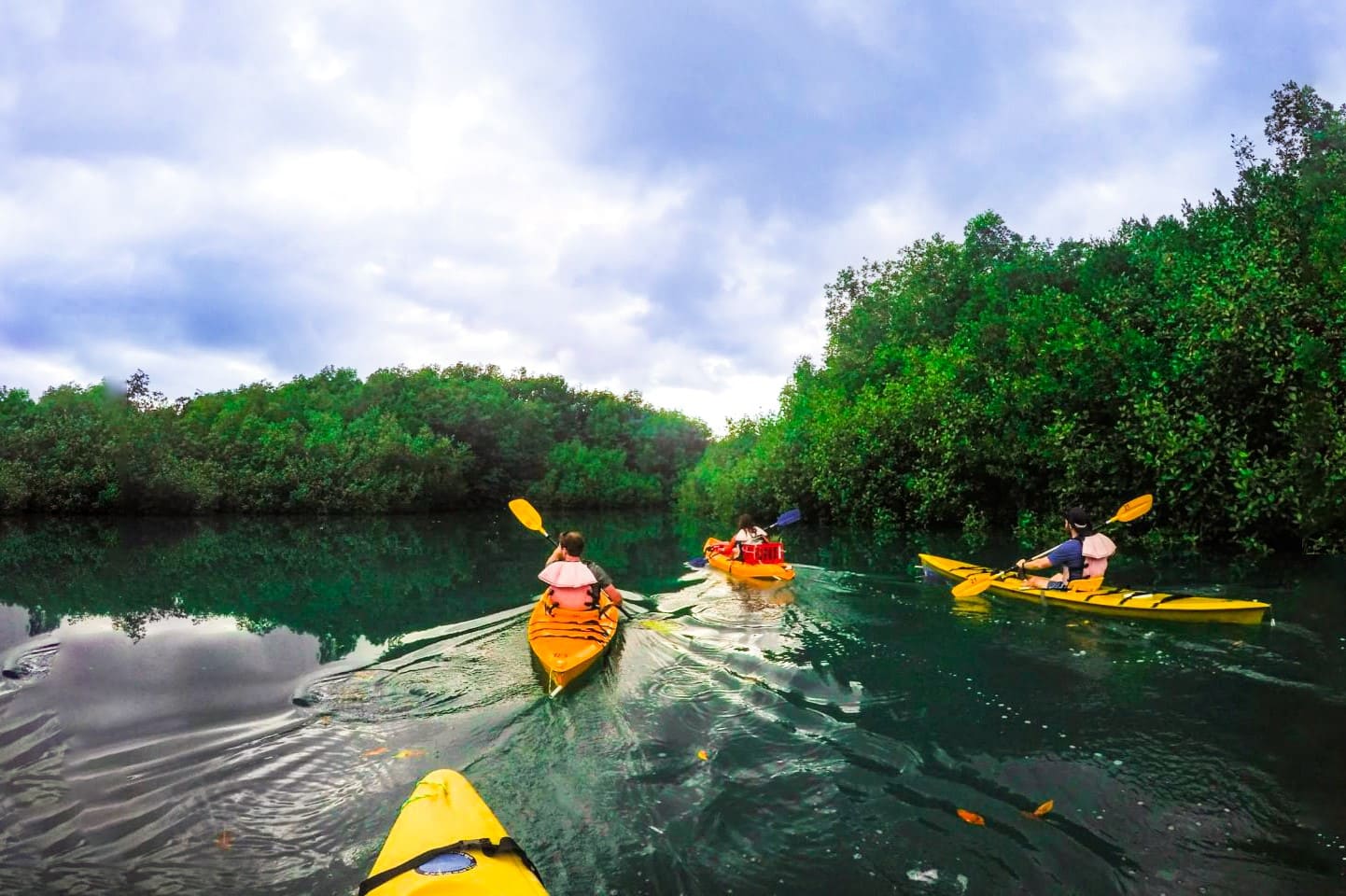 Kayak en la Península Osa