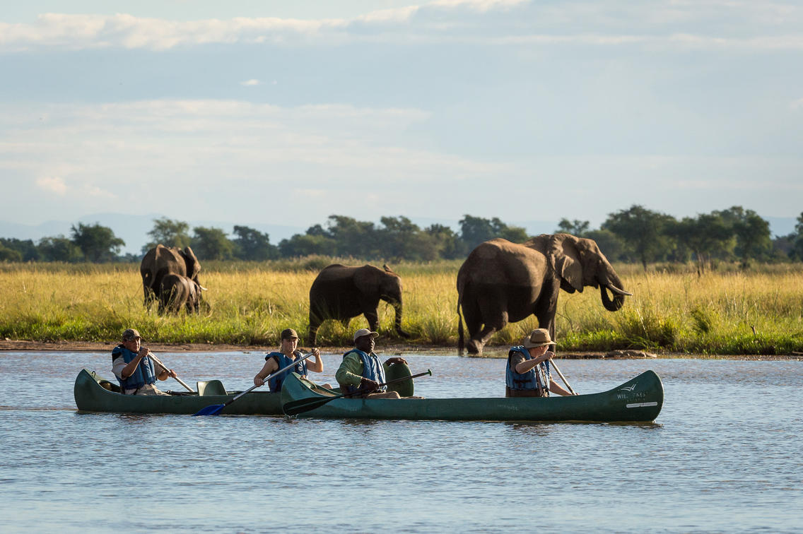 Safari en canoa en Wilderness Ruckomechi