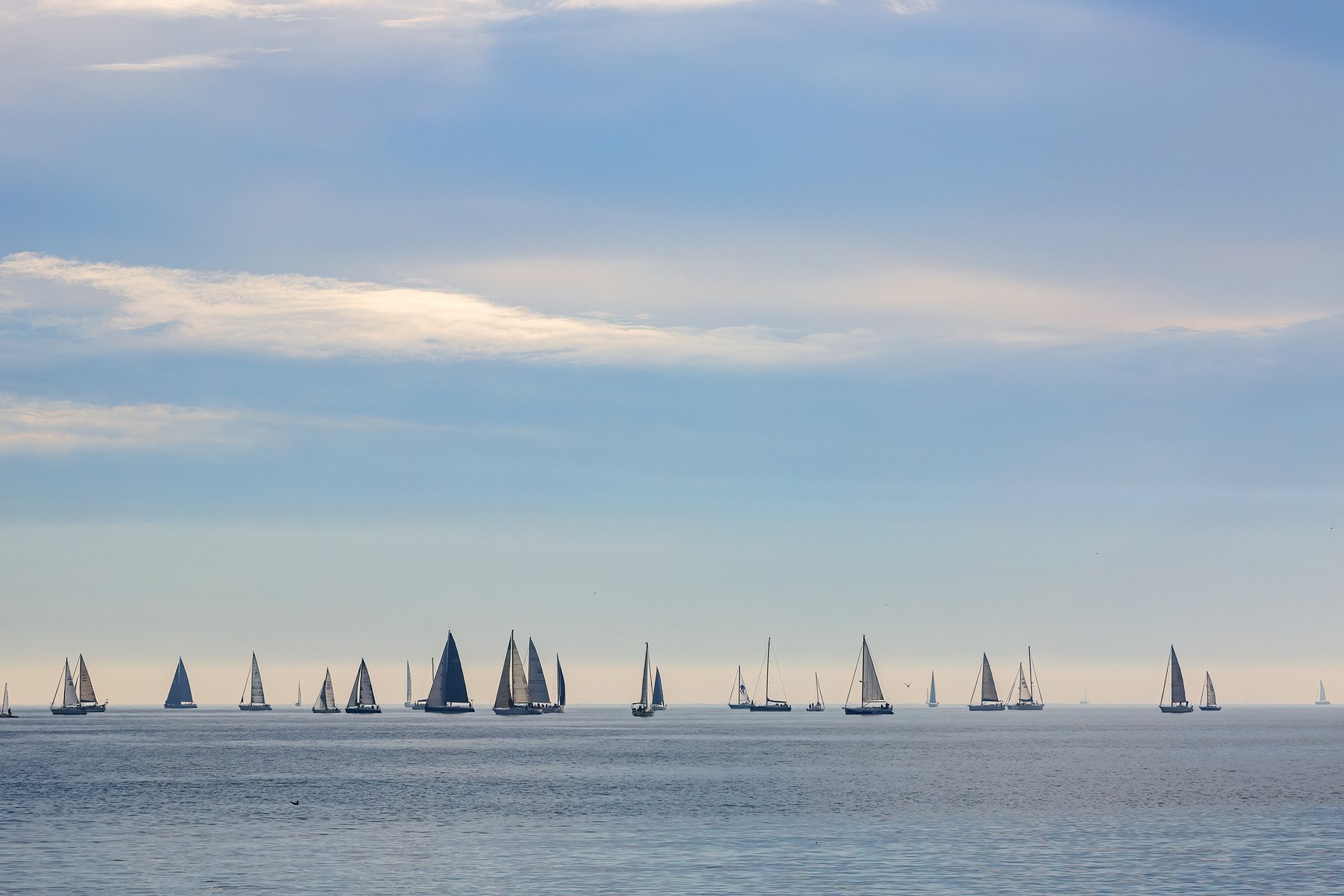 Regata Vela Barcelona