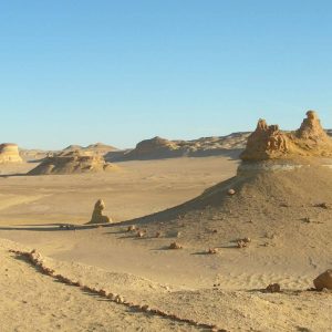 Fósiles en Wadi El Hitan Egipto