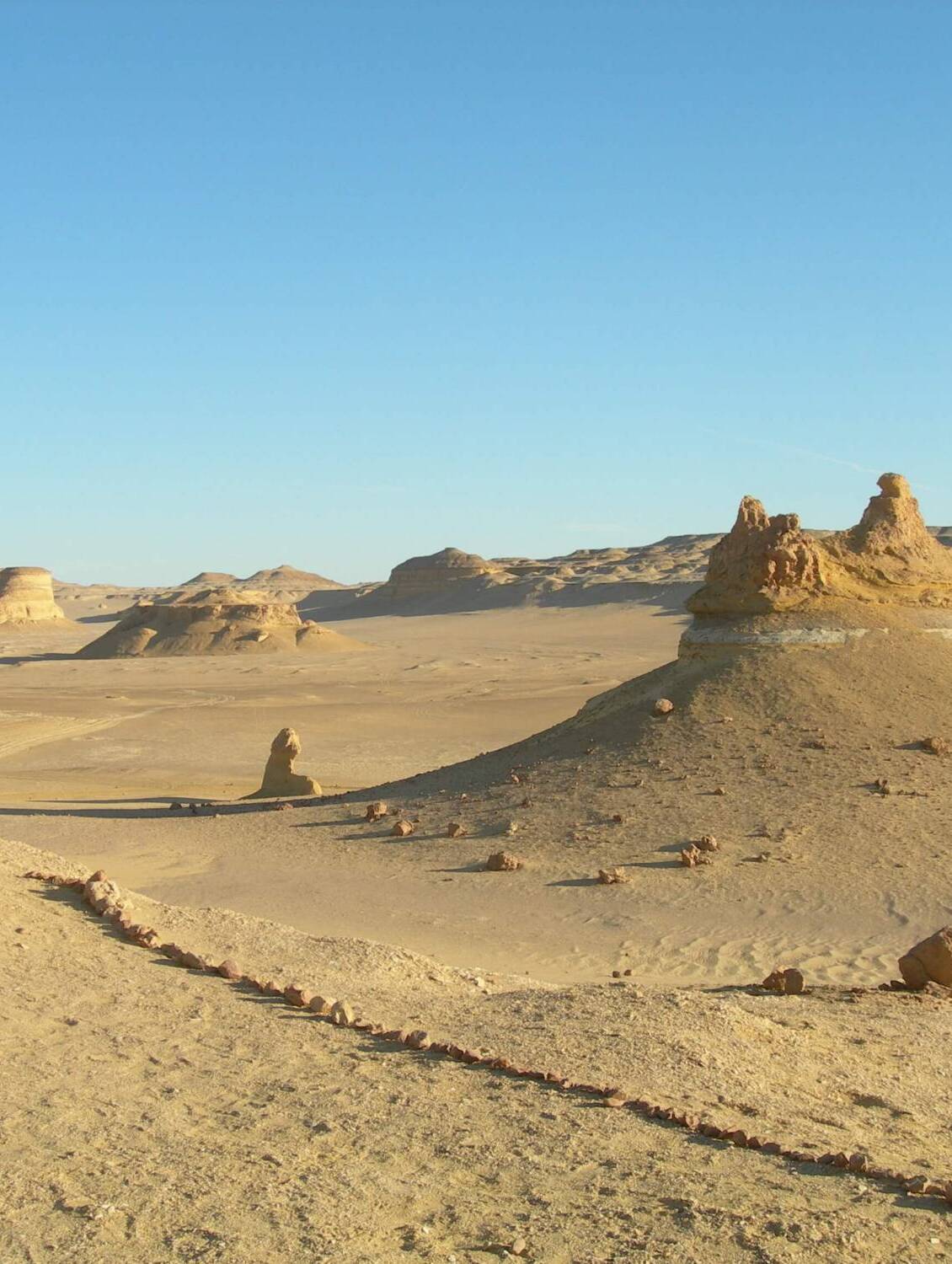 Fósiles en Wadi El Hitan Egipto