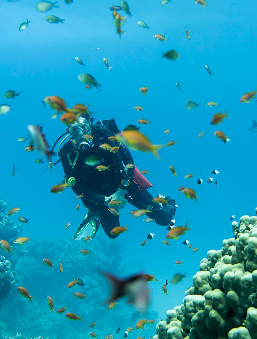 Buceo privado Mar Rojo Egipto