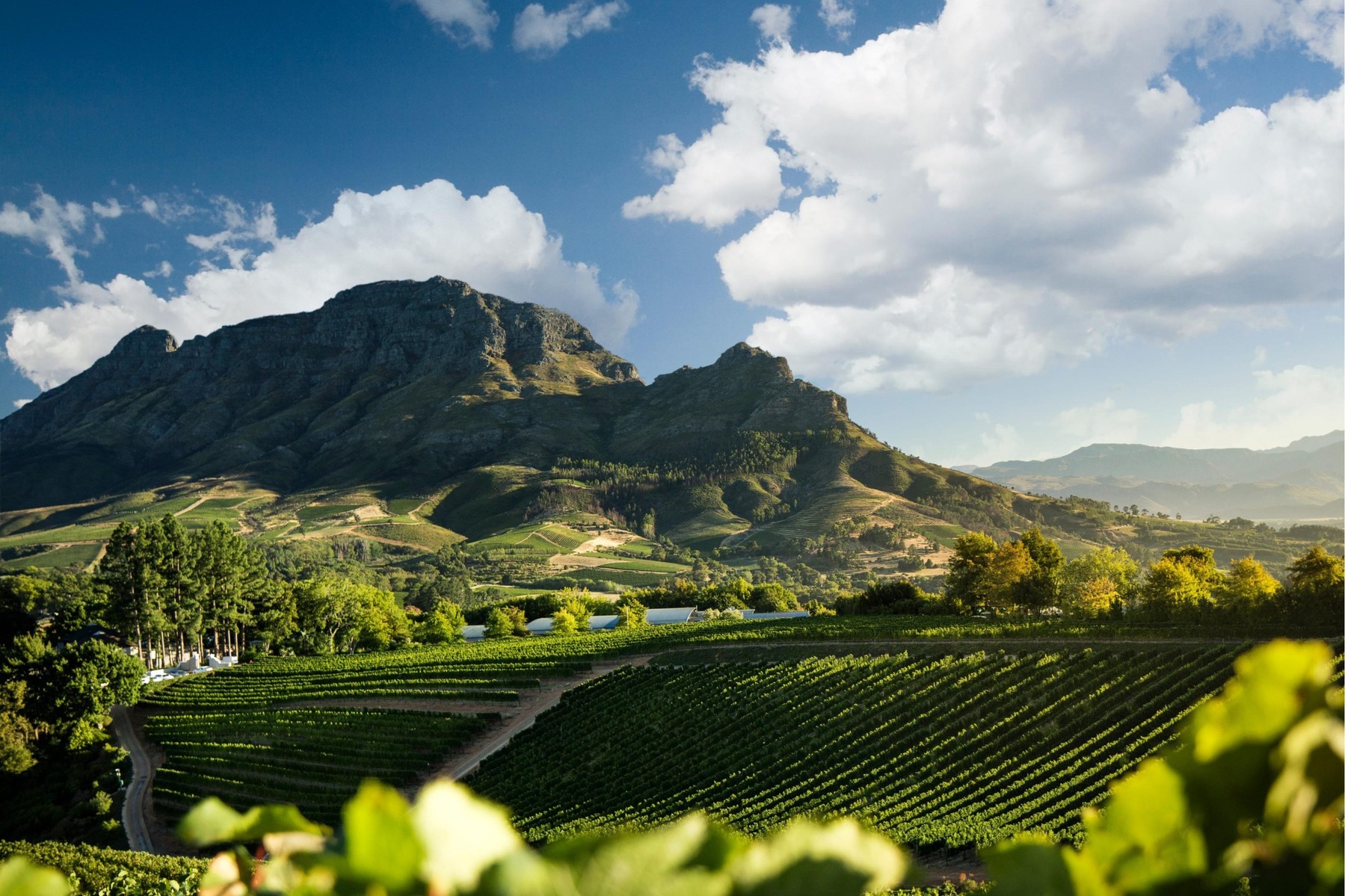 Banghoek Valley Stellenbosch, viaje a Sudáfrica