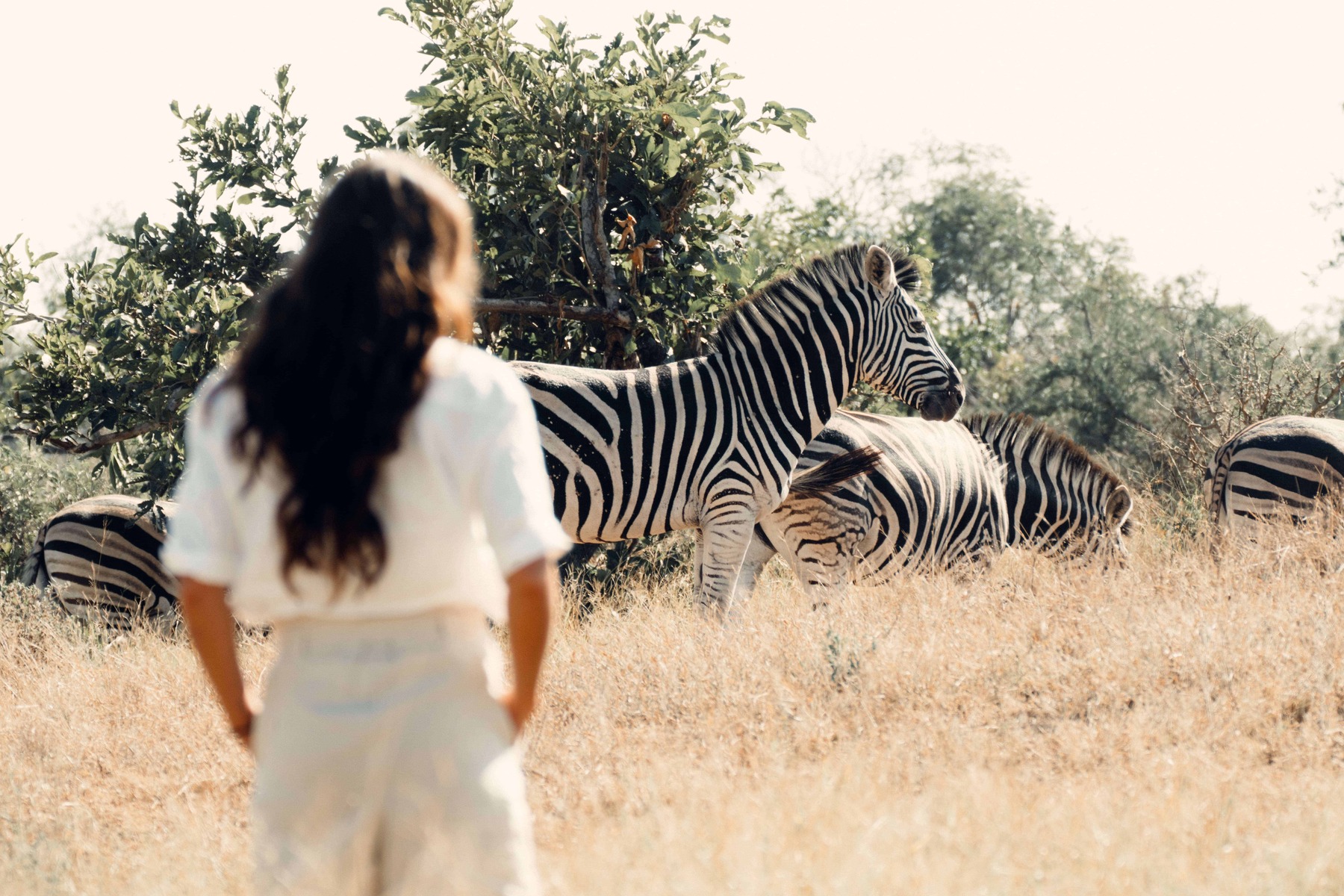 Safari a pie, Viaje a Sudáfrica