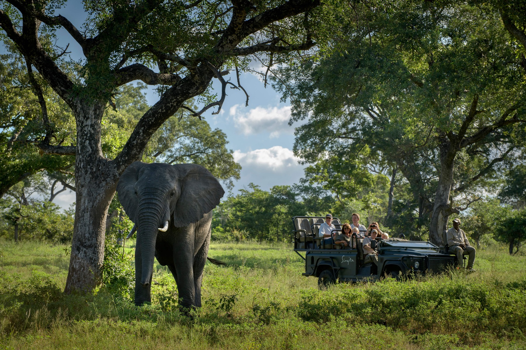 Safari en Singita Sabi Sand, Sudáfrica