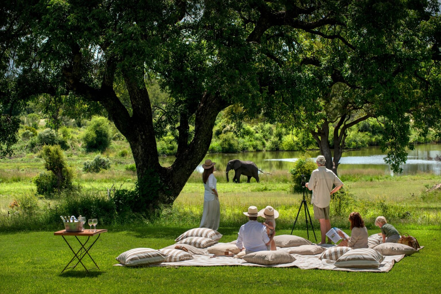 Safari en familia, Sudáfrica