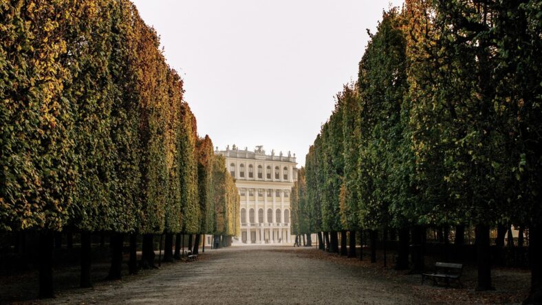 Viaje de lujo a Viena con NUBA