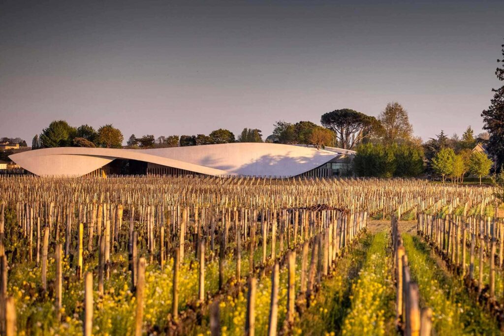 Chateau Cheval Blanc viñedos