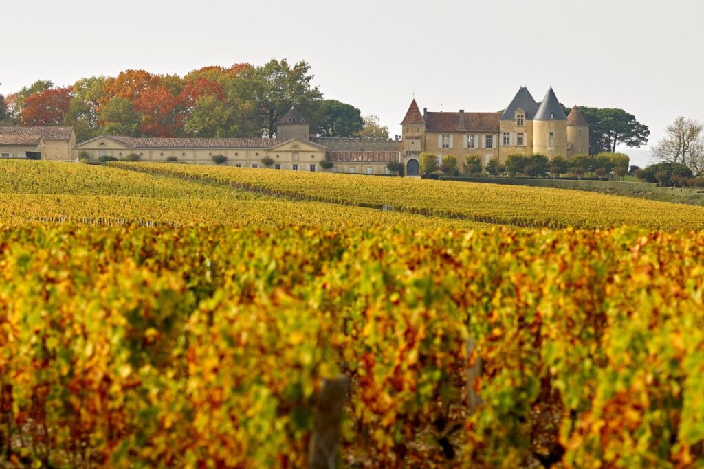 Chateau dYquem otoño