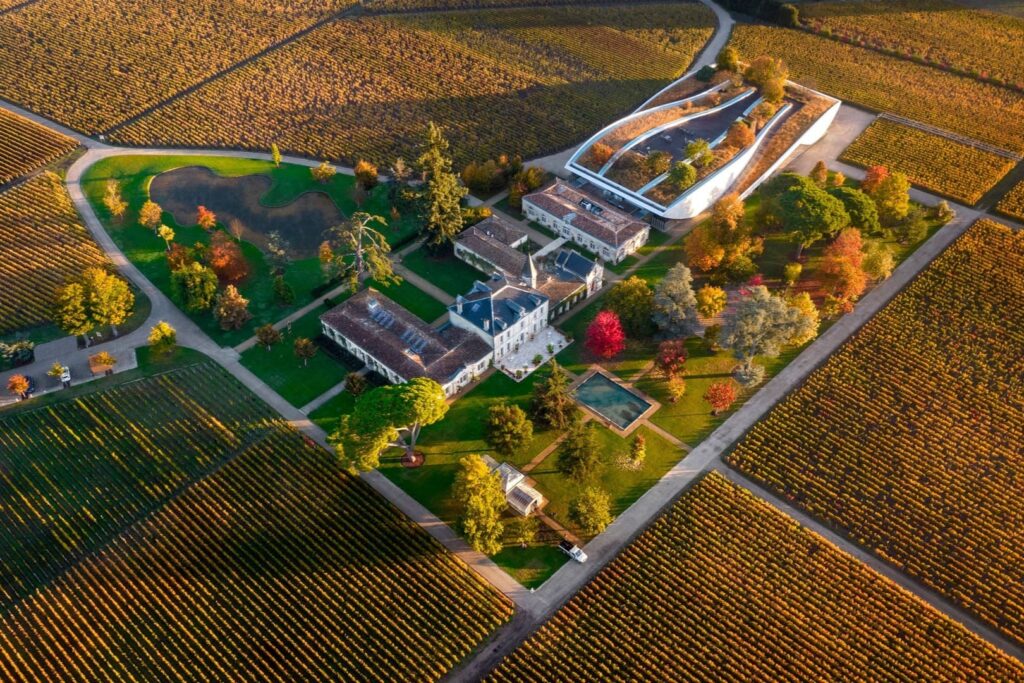 Viñedo Chateau Cheval Blanc