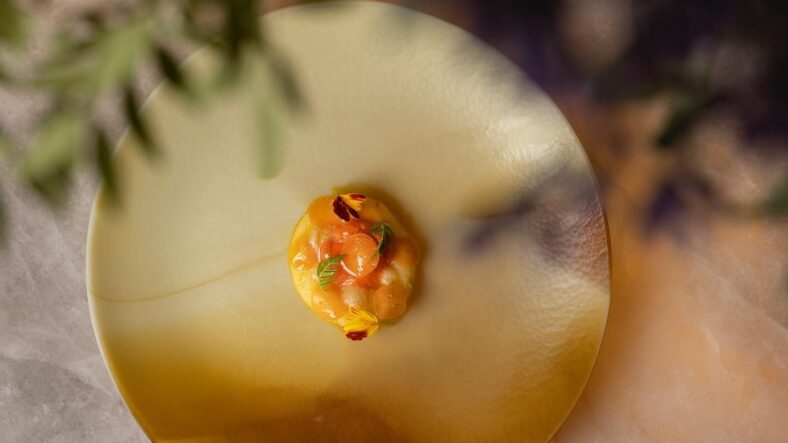 Experiencias Shapes by NUBA en Zaragoza