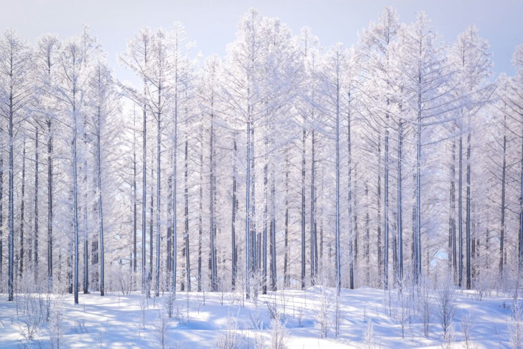 Vista paisaje nevado Japón