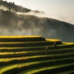 Viajar en invierno con NUBA Vietnam